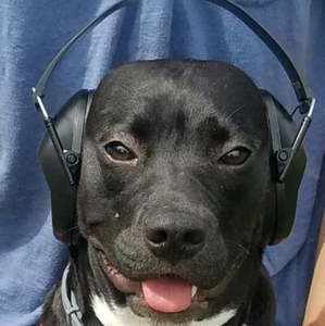 Meet your Posher, Ethan